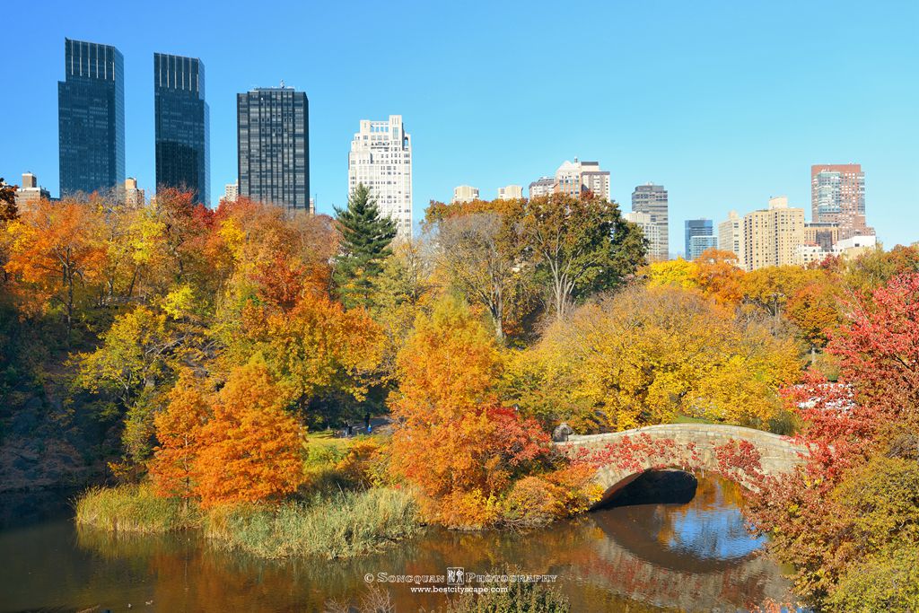 A photographic guide to Central Park, New York City (1) – Songquan ...