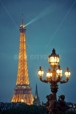 Alexandre III bridge night view - Songquan Photography