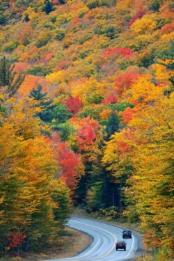 Autumn foliage - Songquan Photography