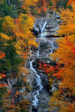 Autumn foliage - Songquan Photography