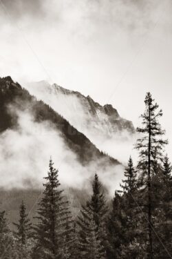 Banff National Park - Songquan Photography