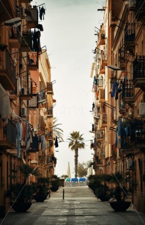 Barcelona Street view with tree - Songquan Photography