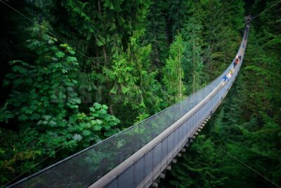 Capilano Suspension Bridge - Songquan Photography