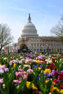 Capitol Building, Washington DC - Songquan Photography