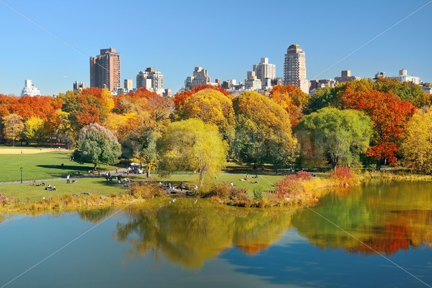 Central Park Autumn – Songquan Photography