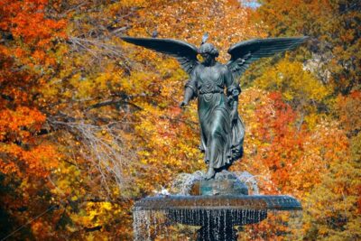 Central Park Autumn - Songquan Photography