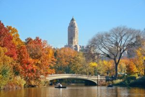 Central Park Autumn - Songquan Photography