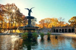 Central Park Autumn - Songquan Photography