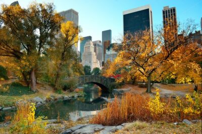 Central Park Autumn - Songquan Photography