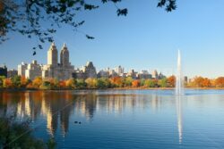 Central Park Autumn - Songquan Photography