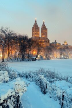 Central Park winter - Songquan Photography