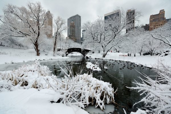 Central Park winter - Songquan Photography