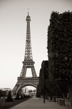 Eiffel Tower Paris - Songquan Photography