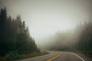 Foggy road - Songquan Photography