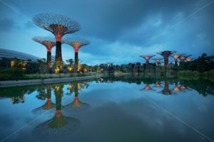 Garden by the Bay - Songquan Photography