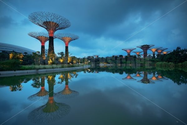 Garden by the Bay - Songquan Photography