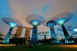 Garden by the Bay - Songquan Photography