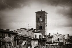 Lucca Tower of Chiesa San Pietro - Songquan Photography