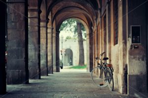 Lucca street bike hallway - Songquan Photography