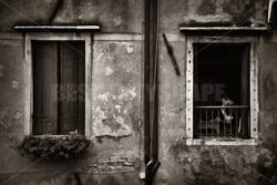 Man with laptop in Venice - Songquan Photography