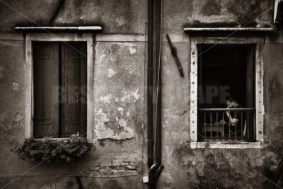 Man with laptop in Venice - Songquan Photography