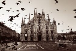 Milan Cathedral Square pigeon - Songquan Photography