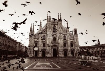 Milan Cathedral Square pigeon - Songquan Photography