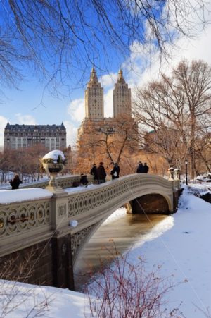New York City Manhattan Central Park panorama in winter - Songquan Photography