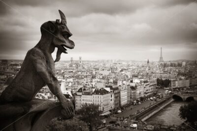 Paris rooftop view - Songquan Photography