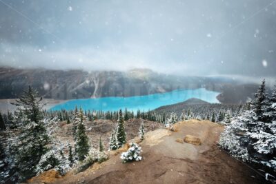 Peyto Lake - Songquan Photography