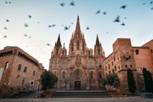 Pigeon Barcelona Cathedral in Gothic Quarter - Songquan Photography