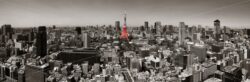 Tokyo Skyline - Songquan Photography