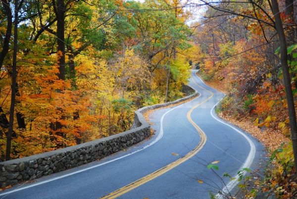 Winding Autumn road with colorful foliage - Songquan Photography