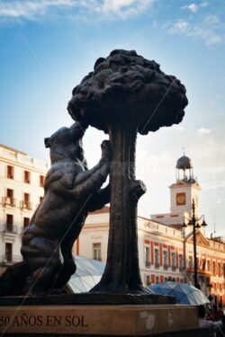 Madrid ear and Strawberry tree - Songquan Photography