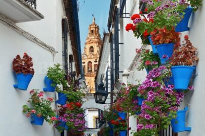 Cordoba Beautiful flower decoration - Songquan Photography