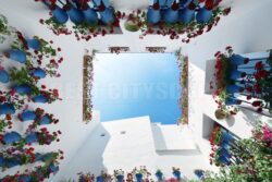 Cordoba Beautiful flower decoration - Songquan Photography