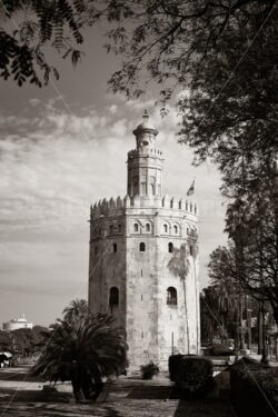 Seville Torre del Oro - Songquan Photography