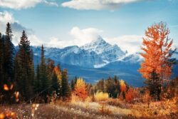 Banff National Park - Songquan Photography