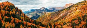 Dolomites Autumn foliage - Songquan Photography