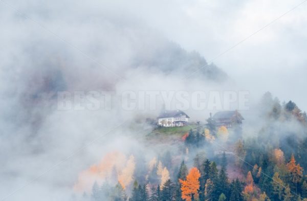 Dolomites fog color foliage - Songquan Photography