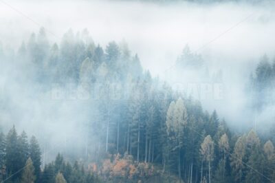 Dolomites fog valley - Songquan Photography