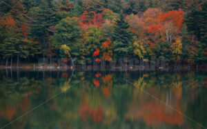 Beautiful Fall colors lake - Songquan Photography